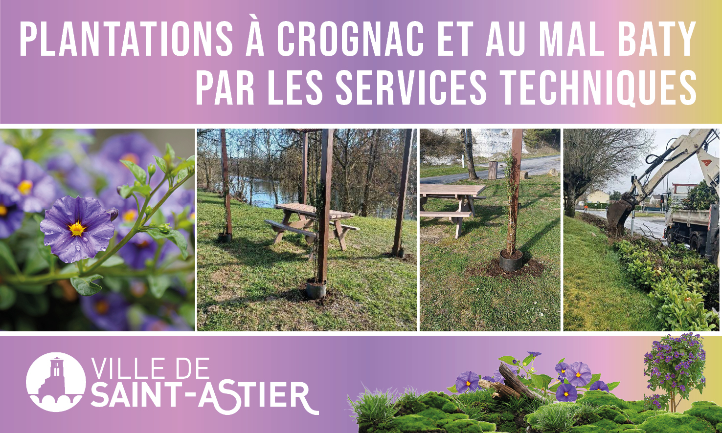 planatation-2022-stastier